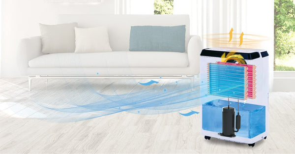 How to Choose the Right Compressor Dehumidifier for Your Needs