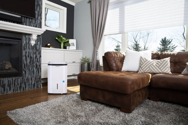 A Breath of Fresh Air: Comparing Portable Dehumidifiers from Top Brands