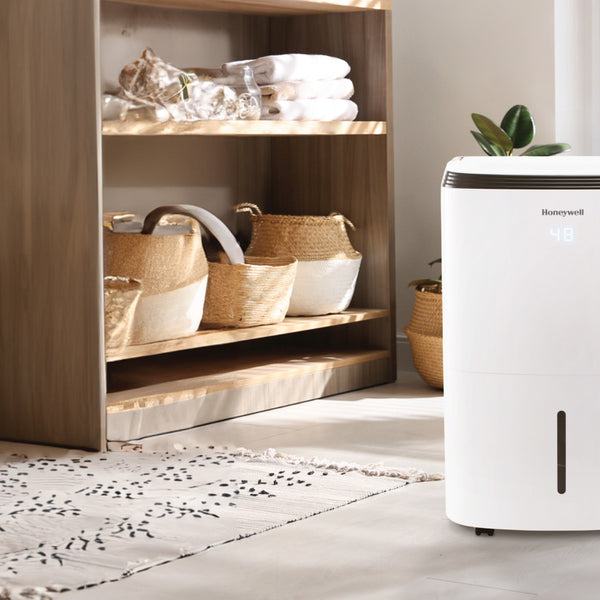 The 5 Best Dehumidifiers of 2023 Reviewed