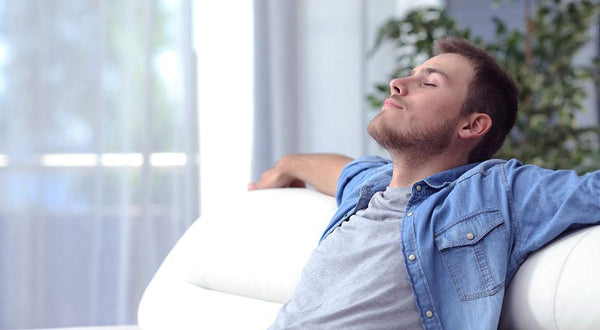 Portable Desiccant Dehumidifiers: Your On-the-Go Solution for Humidity Control